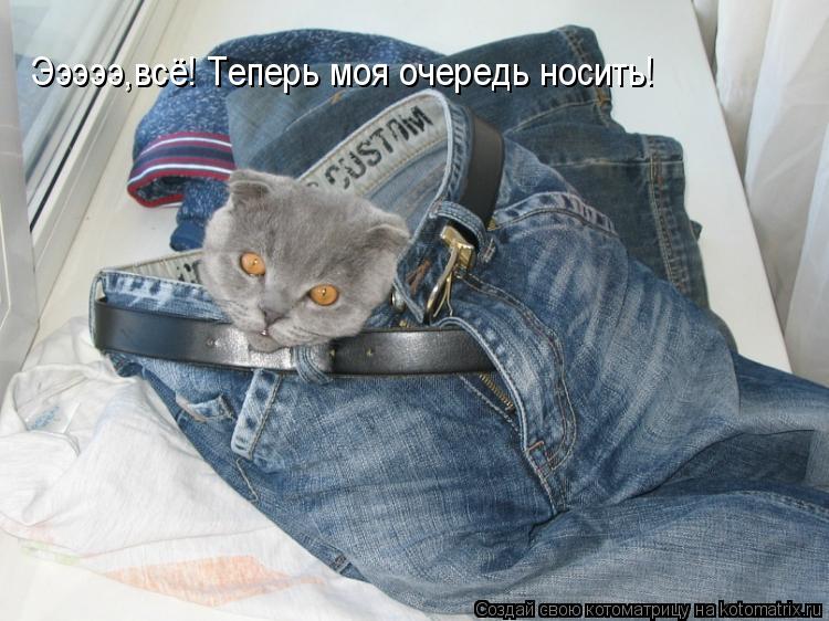 Эээээ,всё! Теперь моя очередь носить!... Котоматрица: Эээээ,всё! Теперь моя очередь носить!