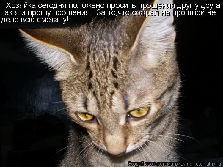 --Хозяйка,сегодня положено просить прощения друг у друга, так я и прошу прощения...За то,что сожрал н... Котоматрица: --Хозяйка,сегодня положено просить прощения друг у друга, так я и прошу прощения...За то,что сожрал на прошлой не- деле всю сметану!..
