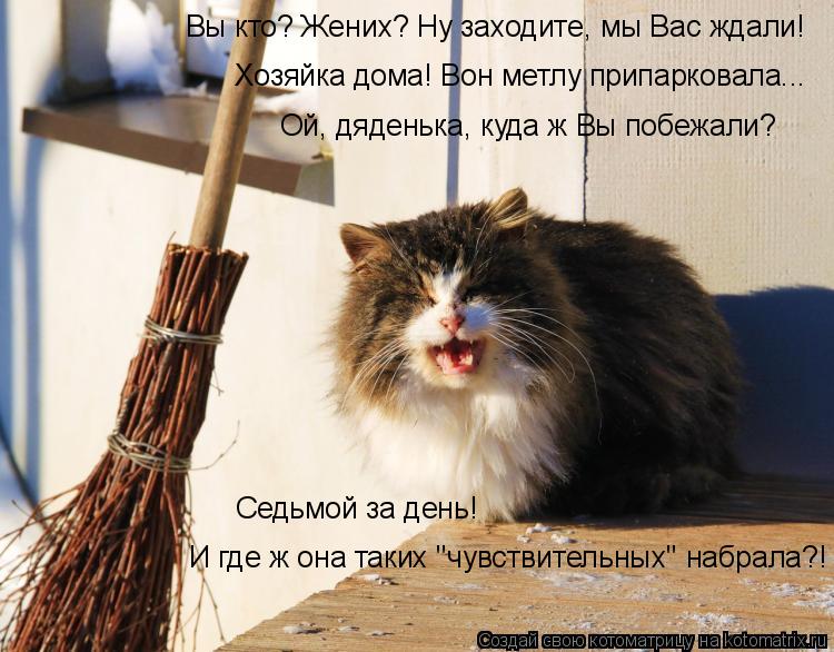 Котоматрица: Вы кто? Жених? Ну заходите, мы Вас ждали! Хозяйка дома! Вон метлу припарковала... Ой, дяденька, куда ж Вы побежали? Седьмой за день! И где ж она т