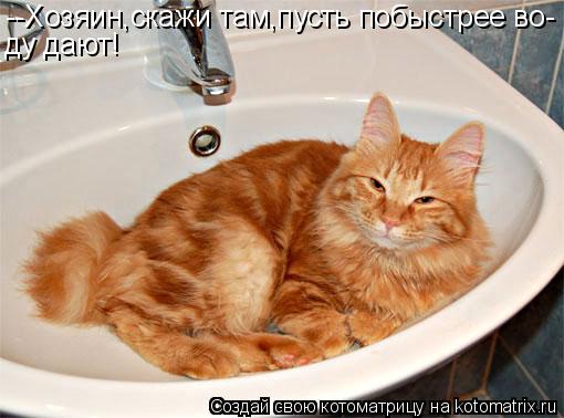 --Хозяин,скажи там,пусть побыстрее во- ду дают!... Котоматрица: --Хозяин,скажи там,пусть побыстрее во- ду дают!