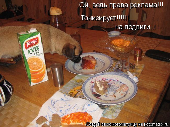 Ой, ведь права реклама!!! Тонизирует!!!!!! на подвиги...... Котоматрица: Ой, ведь права реклама!!! Тонизирует!!!!!! на подвиги...