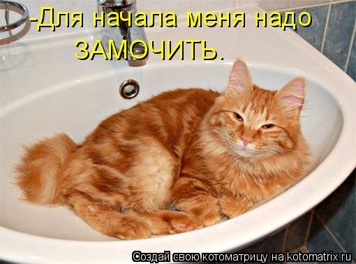 -Для начала меня надо ЗАМОЧИТЬ.... Котоматрица: -Для начала меня надо ЗАМОЧИТЬ.