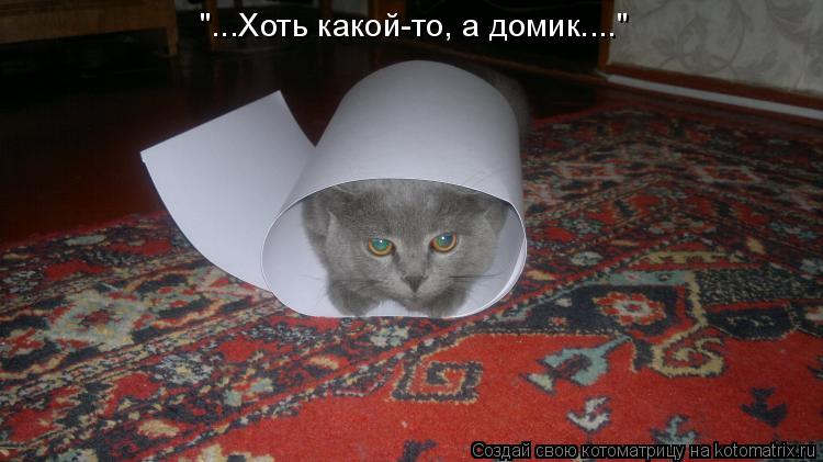"...Хоть какой-то, а домик...."... Котоматрица: "...Хоть какой-то, а домик...."