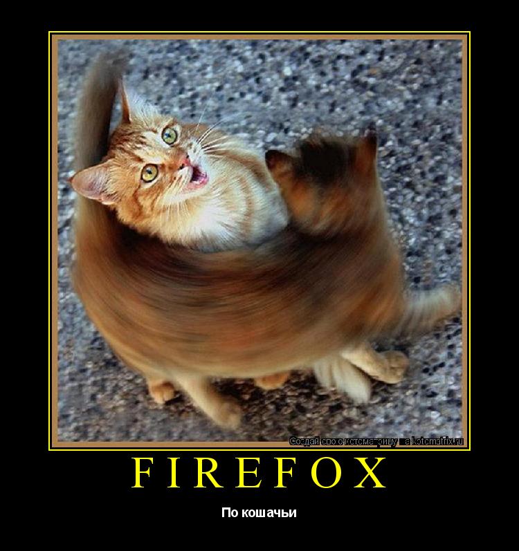 Firefox По кошачьи... Котоматрица: Firefox По кошачьи