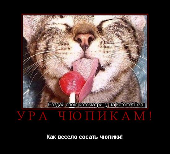 Ура чюпикам! Как весело сосать чюпики!... Котоматрица: Ура чюпикам! Как весело сосать чюпики!