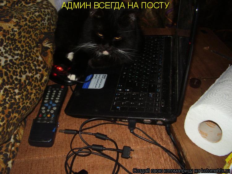 АДМИН ВСЕГДА НА ПОСТУ... Котоматрица: АДМИН ВСЕГДА НА ПОСТУ