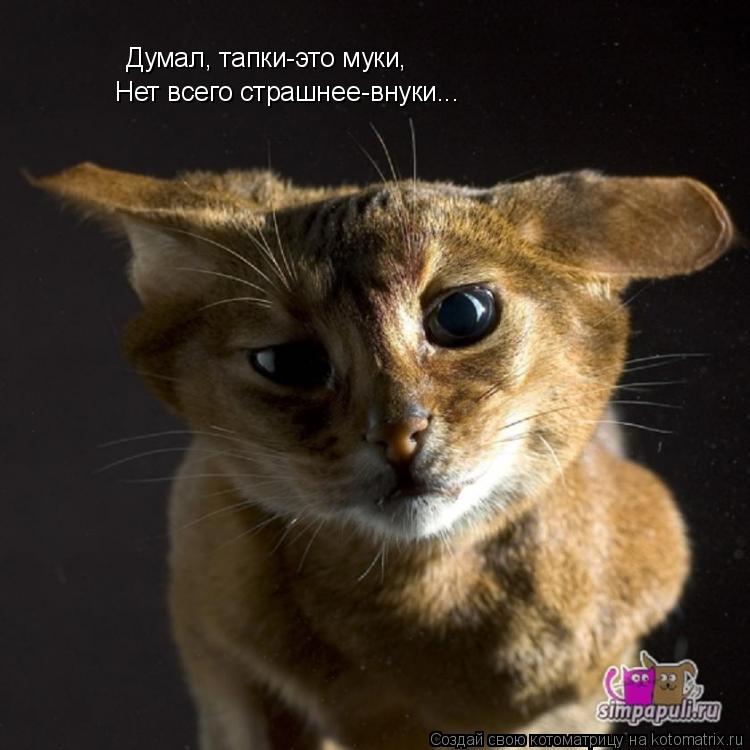 Думал, тапки-это муки, Нет всего страшнее-внуки...... Котоматрица: Думал, тапки-это муки, Нет всего страшнее-внуки...