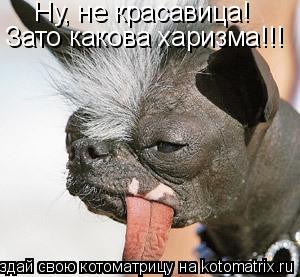 Ну, не красавица! Зато какова харизма!!!... Котоматрица: Ну, не красавица! Зато какова харизма!!!