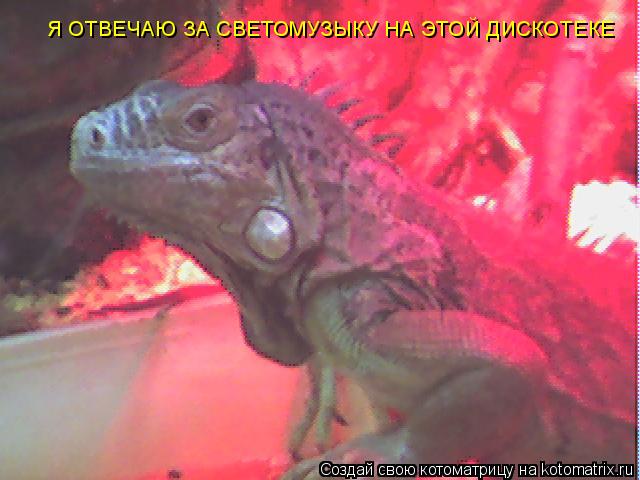 Я ОТВЕЧАЮ ЗА СВЕТОМУЗЫКУ НА ЭТОЙ ДИСКОТЕКЕ... Котоматрица: Я ОТВЕЧАЮ ЗА СВЕТОМУЗЫКУ НА ЭТОЙ ДИСКОТЕКЕ