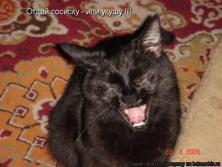 Отдай сосиску - или укушу !!!... Котоматрица: Отдай сосиску - или укушу !!!