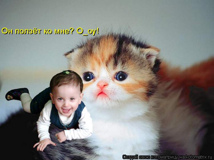 Он ползёт ко мне? О_оу!... Котоматрица: Он ползёт ко мне? О_оу!