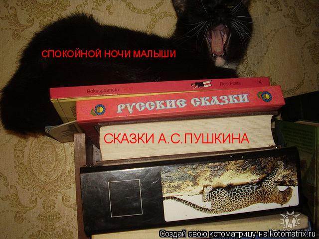СКАЗКИ А.С.ПУШКИНА СПОКОЙНОЙ НОЧИ МАЛЫШИ... Котоматрица: СКАЗКИ А.С.ПУШКИНА СПОКОЙНОЙ НОЧИ МАЛЫШИ