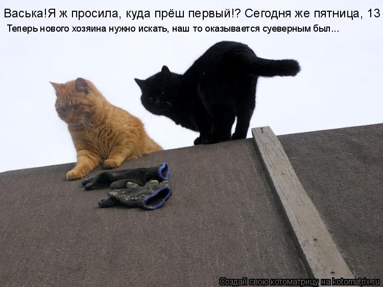 Васька!Я ж просила, куда прёш первый!? Сегодня же пятница, 13 Теперь нового хозяина нужно искать, наш... Котоматрица: Васька!Я ж просила, куда прёш первый!? Сегодня же пятница, 13 Теперь нового хозяина нужно искать, наш то оказывается суеверным был...