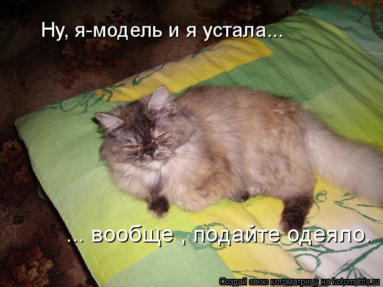 Котоматрица: Ну, я-модель и я устала... ... вообще , подайте одеяло.