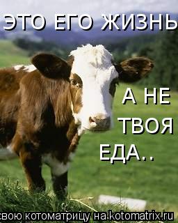 Котоматрица: ЭТО ЕГО ЖИЗНЬ А НЕ  ТВОЯ ЕДА..