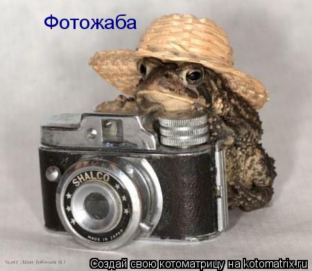 Котоматрица: Фотожаба