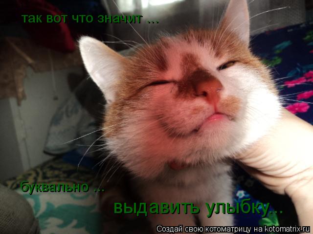 Котоматрица: так вот что значит ... буквально ... выдавить улыбку...