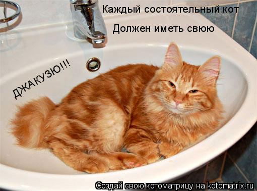Котоматрица: Каждый состоятельный кот  Должен иметь свюю  ДЖАКУЗЮ!!!