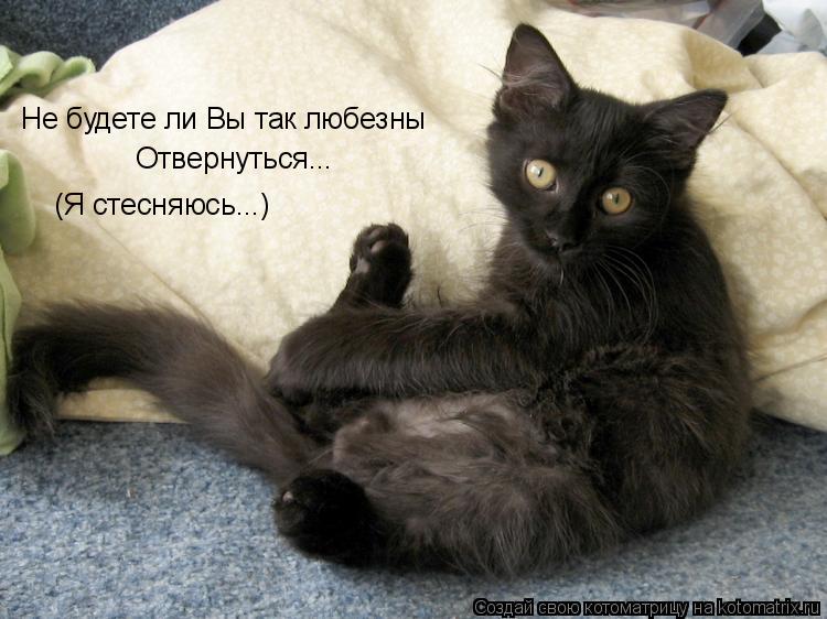 Котоматрица: Не будете ли Вы так любезны Отвернуться... (Я стесняюсь...)