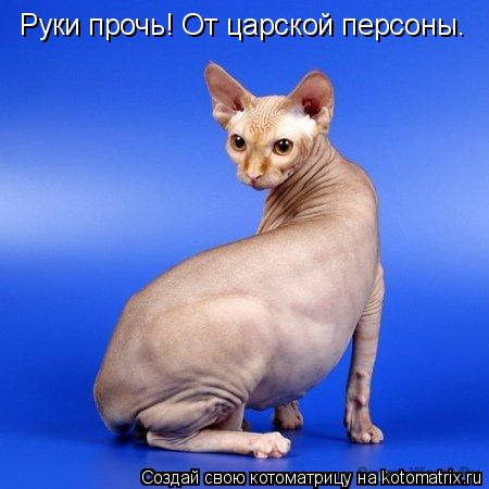 Котоматрица: Руки прочь! От царской персоны.