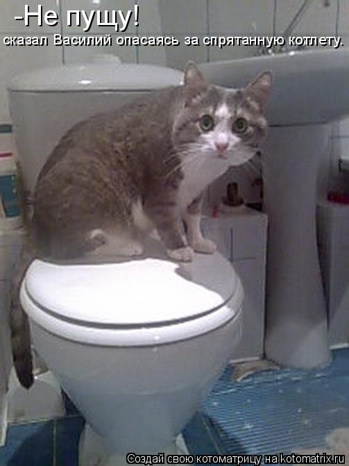 Котоматрица: -Не пущу!  сказал Василий опасаясь за спрятанную котлету.