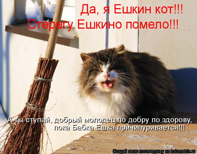 Котоматрица: Да, я Ешкин кот!!! Стерегу Ешкино помело!!! А ты ступай, добрый молодец по добру по здорову, пока Бабка Ешка причипуривается!!!