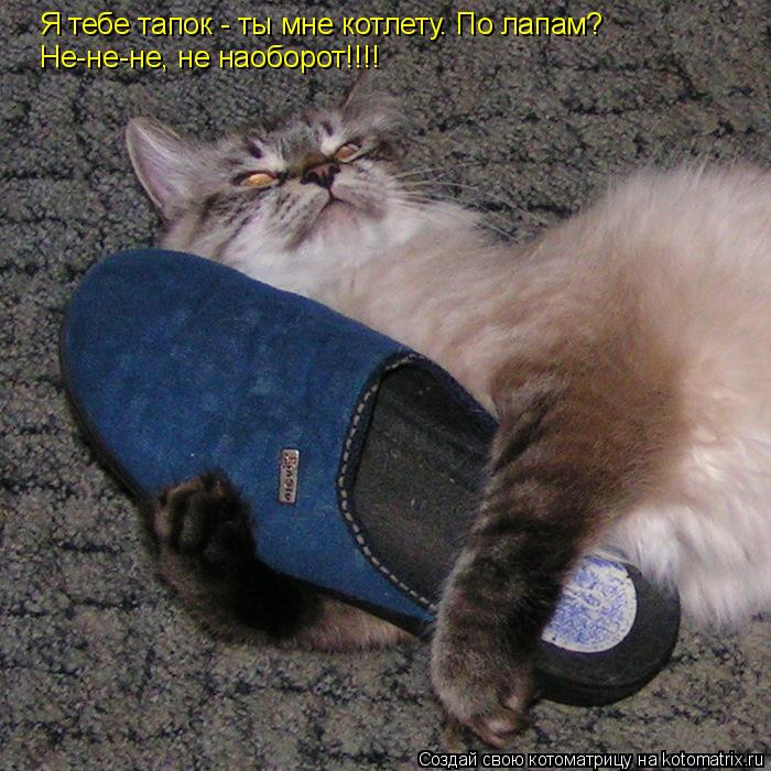 Котоматрица: Я тебе тапок - ты мне котлету. По лапам? Не-не-не, не наоборот!!!!