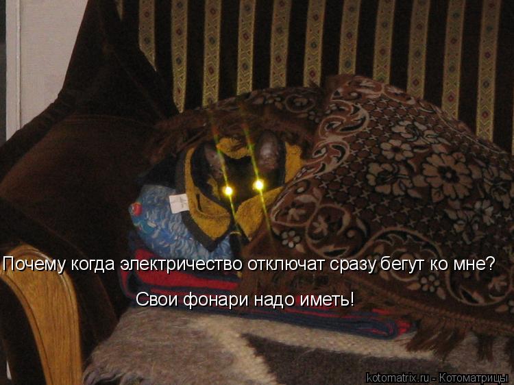 Котоматрица: Почему когда электричество отключат сразу бегут ко мне? Свои фонари надо иметь!
