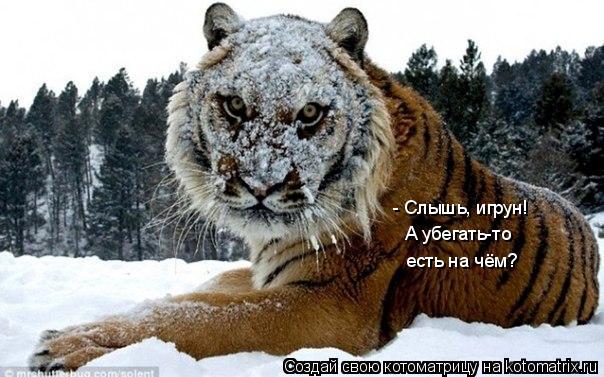 Котоматрица: - Слышь, игрун! А убегать-то есть на чём?