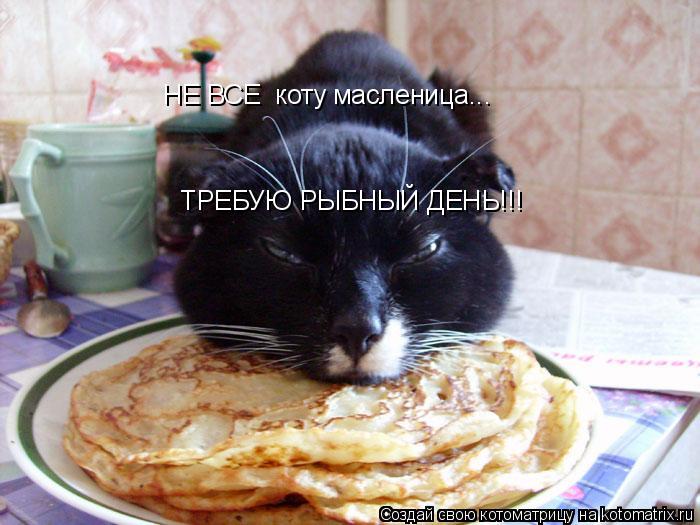 Котоматрица: НЕ ВСЕ  коту масленица...   ТРЕБУЮ РЫБНЫЙ ДЕНЬ!!!