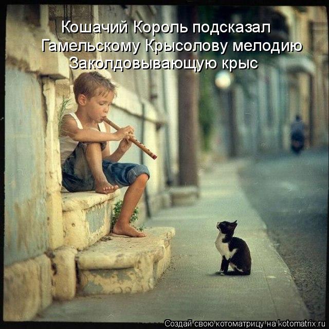Котоматрица: Заколдовывающую крыс Гамельскому Крысолову мелодию  Кошачий Король подсказал