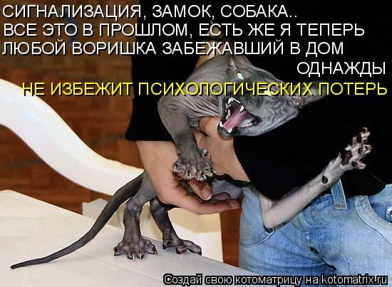 Котоматрица: СИГНАЛИЗАЦИЯ, ЗАМОК, СОБАКА.. ВСЕ ЭТО В ПРОШЛОМ, ЕСТЬ ЖЕ Я ТЕПЕРЬ ЛЮБОЙ ВОРИШКА ЗАБЕЖАВШИЙ В ДОМ  ОДНАЖДЫ НЕ ИЗБЕЖИТ ПСИХОЛОГИЧЕСКИХ ПОТЕРЬ