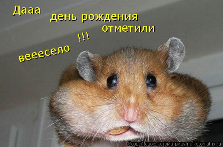 Котоматрица: Дааа день рождения отметили вееесело !!!