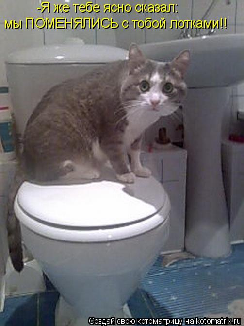 Котоматрица: -Я же тебе ясно сказал:  мы ПОМЕНЯЛИСЬ с тобой лотками!!