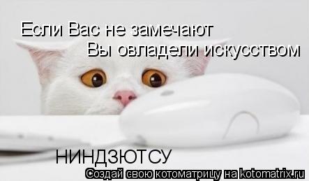 Котоматрица: Если Вас не замечают Вы овладели искусством НИНДЗЮТСУ