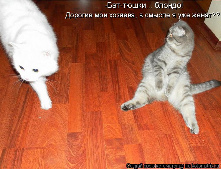 Котоматрица: -Бат-тюшки... блондо!  Дорогие мои хозяева, в смысле я уже женат??