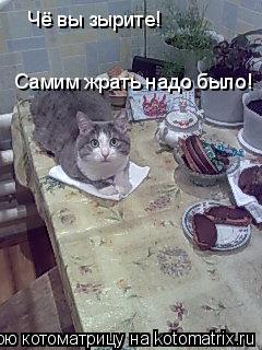 Котоматрица: Чё вы зырите!  Самим жрать надо было!