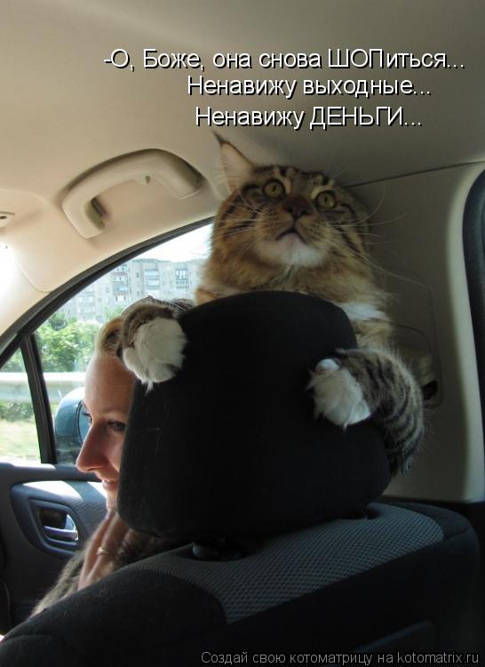 Котоматрица: -О, Боже, она снова ШОПиться... Ненавижу выходные... Ненавижу ДЕНЬГИ...