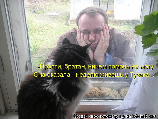 Котоматрица: -Прости, братан, ничем помочь не могу. Она сказала - неделю живешь у Тузика...