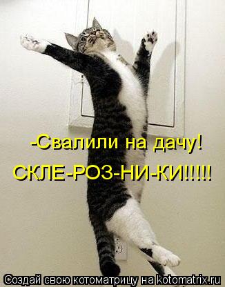 Котоматрица: -Свалили на дачу! СКЛЕ-РОЗ-НИ-КИ!!!!!