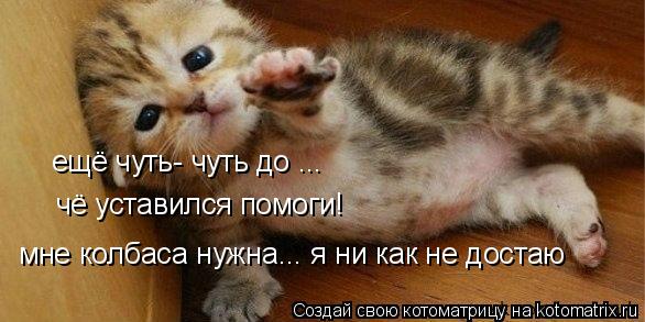Котоматрица: ещё чуть- чуть до ... чё уставился помоги! мне колбаса нужна... я ни как не достаю
