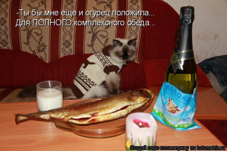 Котоматрица: -Ты бы мне еще и огурец положила... Для ПОЛНОГО комплексного обеда...