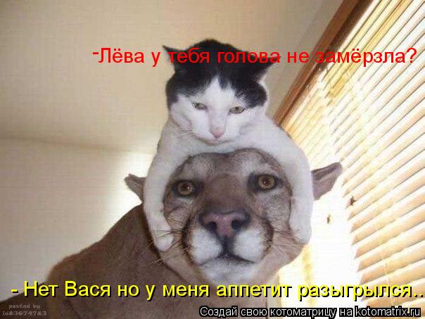 Котоматрица: - Лёва у тебя голова не замёрзла? - Нет Вася но у меня аппетит разыгрылся....