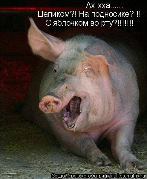 Котоматрица: Ах-хха...... Целиком?! На подносике?!!! С яблочком во рту?!!!!!!!!