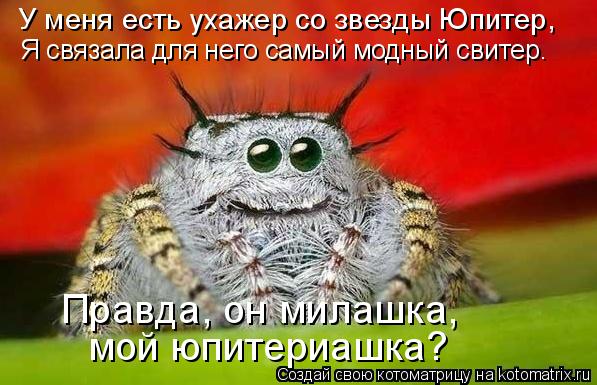 Котоматрица: У меня есть ухажер со звезды Юпитер, Я связала для него самый модный свитер. мой юпитериашка? Правда, он милашка,
