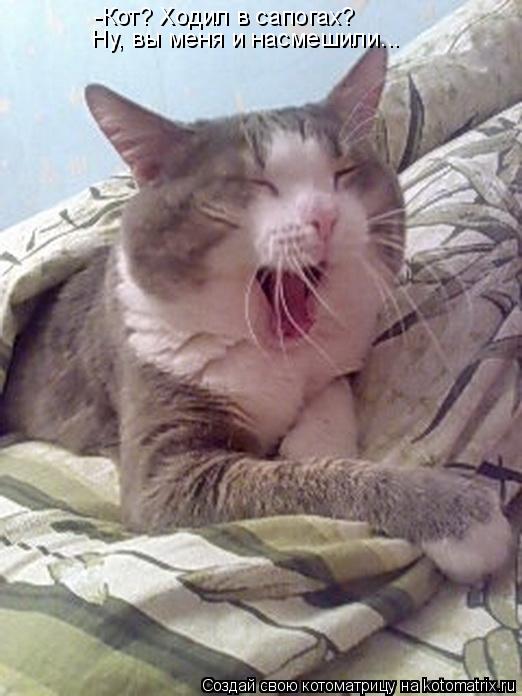 Котоматрица: -Кот? Ходил в сапогах? Ну, вы меня и насмешили...