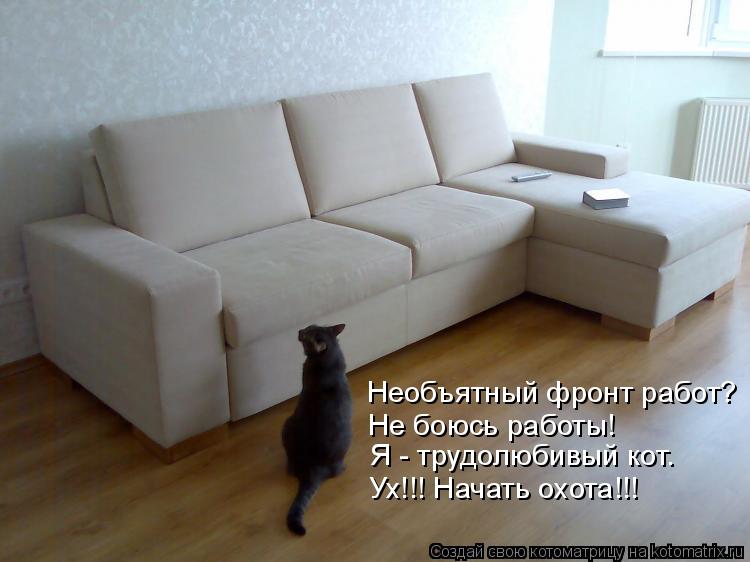 Необъятный фронт работ? Я - трудолюбивый кот. Не боюсь работы! Ух!!! Начать охота!!!... Котоматрица: Необъятный фронт работ? Я - трудолюбивый кот. Не боюсь работы! Ух!!! Начать охота!!!
