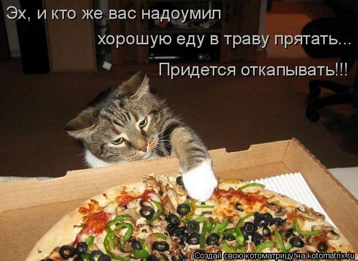 Котоматрица: Эх, и кто же вас надоумил  хорошую еду в траву прятать... Придется откапывать!!!
