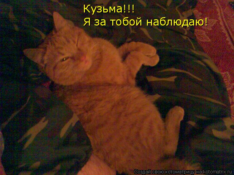 Котоматрица: Кузьма!!!  Я за тобой наблюдаю!