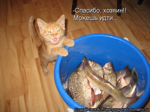 Котоматрица: -Спасибо, хозяин!! Можешь идти...